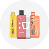 Best disposable vape brand in 2025: lost mary